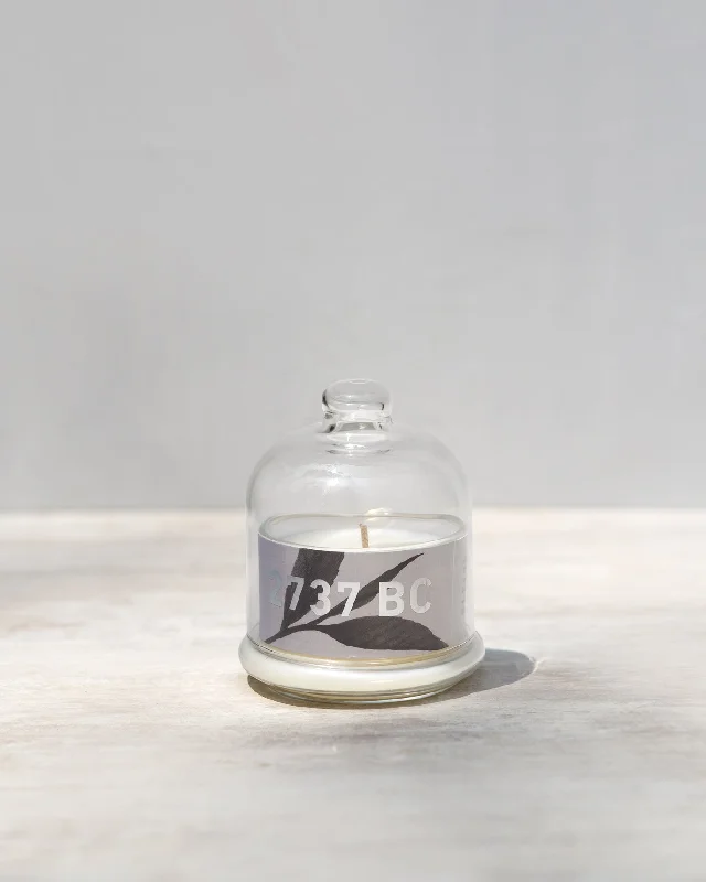 BC Bell Jar Candle - Small Business